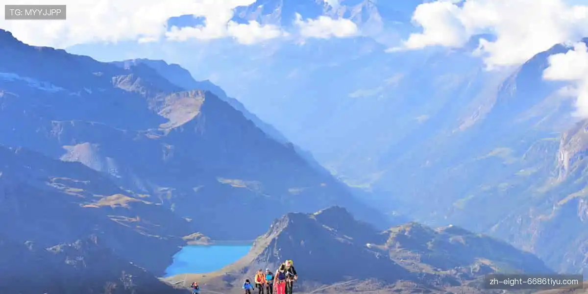 🏀 高清直播,实时尖叫,与全球球迷同频共振!